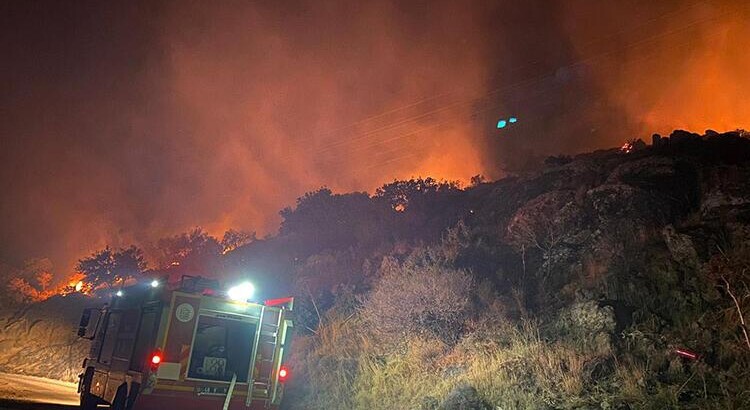 В Мугле вспыхнул пожар