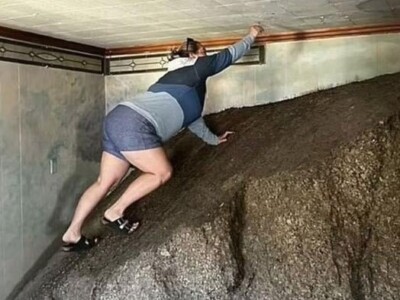 Это уже слишком