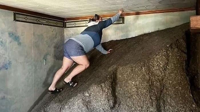 Это уже слишком