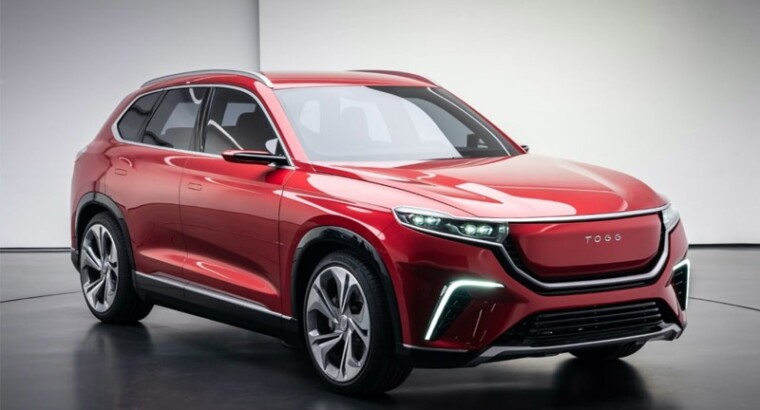 Первые турецкие электромобили TOGG получат губернаторы и послы Турции