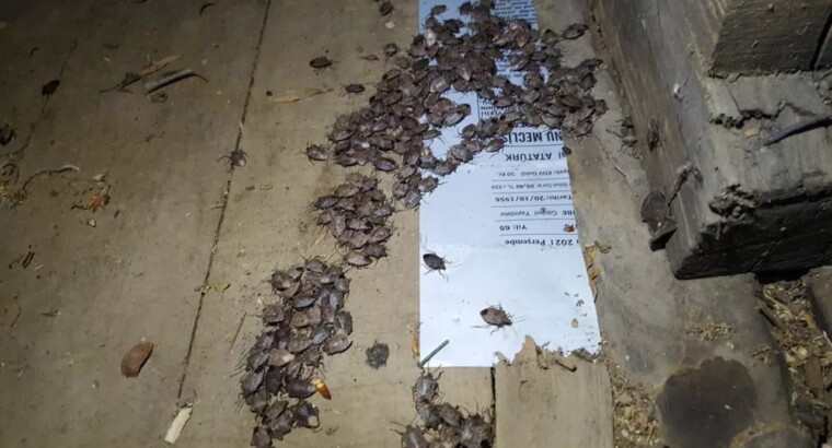 Плохие новости для некоторых провинций Турции