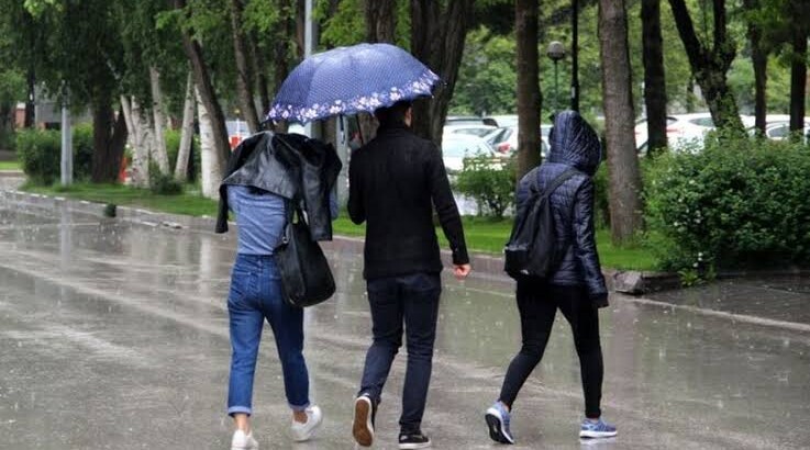 В этих провинциях ожидается снегопад