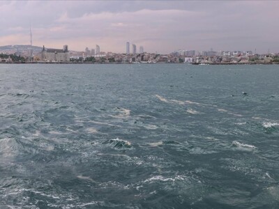 Экологическую ситуацию в Мраморном море будут отслеживать посредством дронов