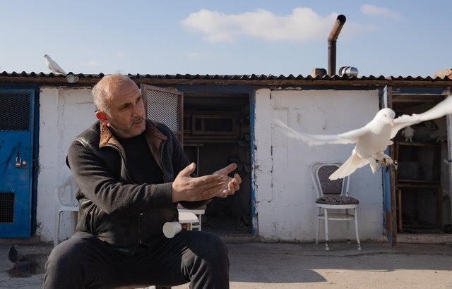 Любовь и Голуби по-турецки