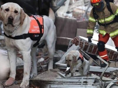 Самые настоящие герои-спасатели