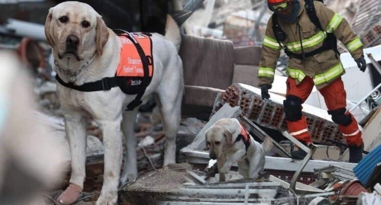 Самые настоящие герои-спасатели