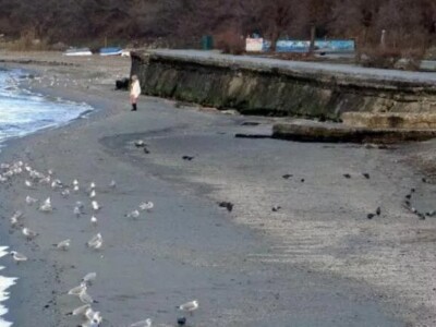 Мраморное море отступило на 15 метров