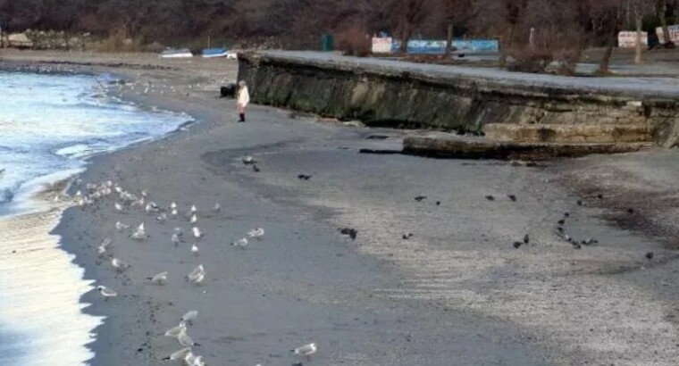 Мраморное море отступило на 15 метров