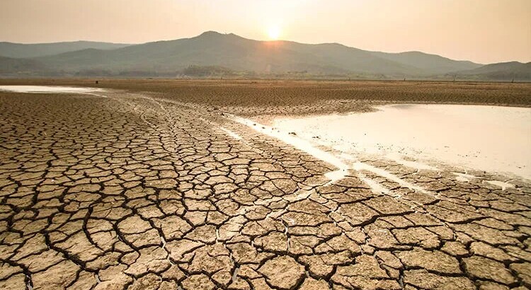 Опасность засухи все так же актуальна для некоторых регионов Турции