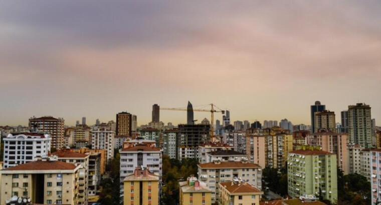 Огромный спрос на бесплатную проверку зданий