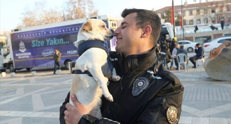 Собачку, которую спасли в зоне бедствия, взял к себя один из полицейских из отряда ОМОН