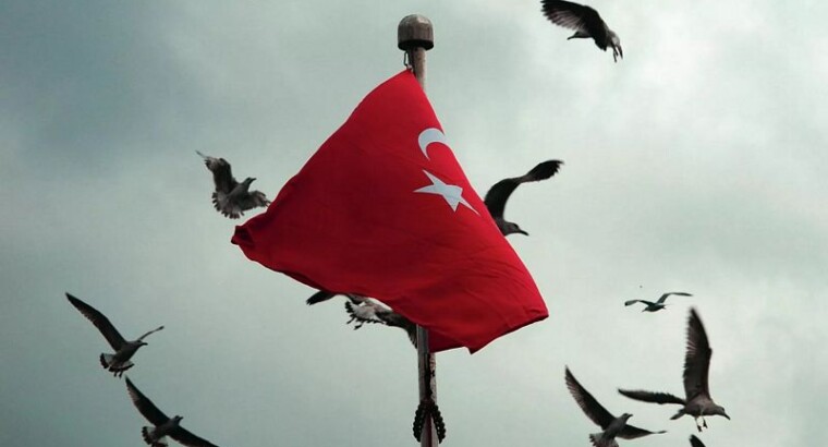 СМИ пишут, что выборы в Турции могут отложить на срок от шести месяцев