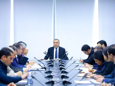Узбекистан и Турция увеличат количество авиарейсов