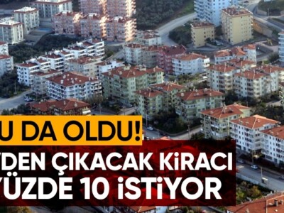 Некоторые арендаторы перегибают палку