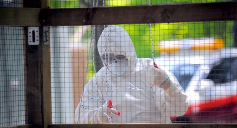 Предупреждение о птичьем гриппе на Тайване