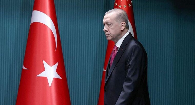 Эрдоган официально выдвинут претендентом на пост президента на выборах в Турции