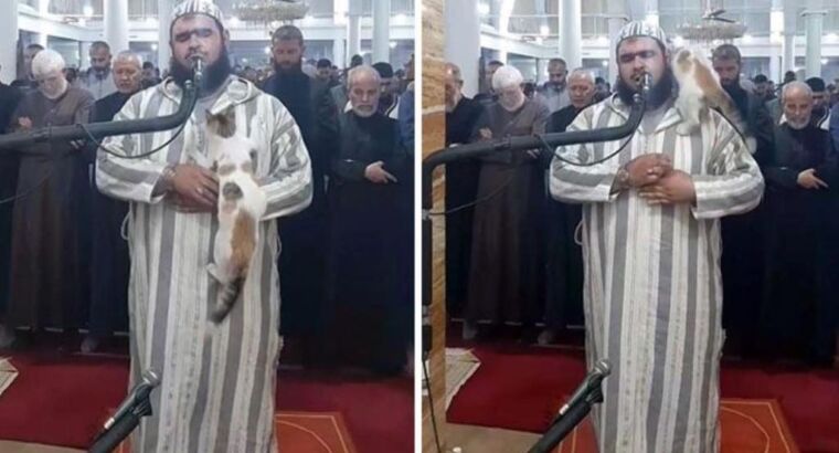 Интересное видео из Алжира