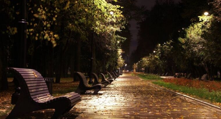 В Турции скоро откроется пятый по величине городской парк в мире