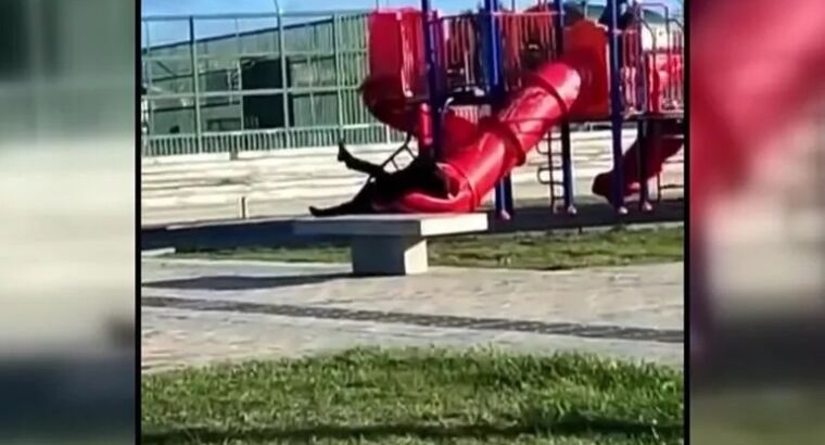 Практически Винни-Пух из Шили