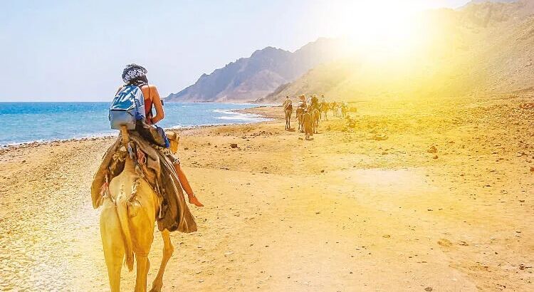 Желающих отдохнуть в Египте увеличилось в 5 раз