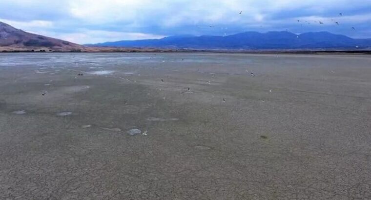 Последние исследования: влияние изменения климата на озёра намного больше, чем предполагалось