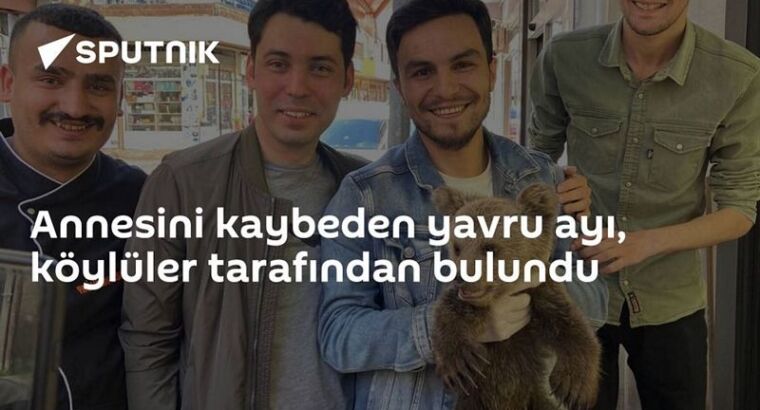Медвежонка, потерявшего мать, нашли жители села