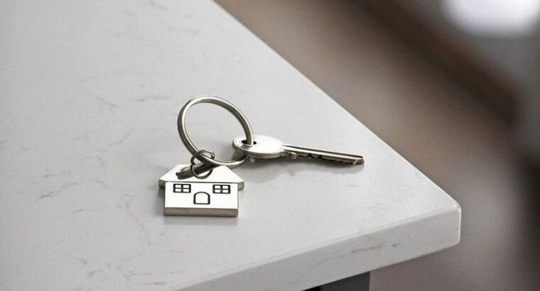 Цены на дачные дома все растут и растут