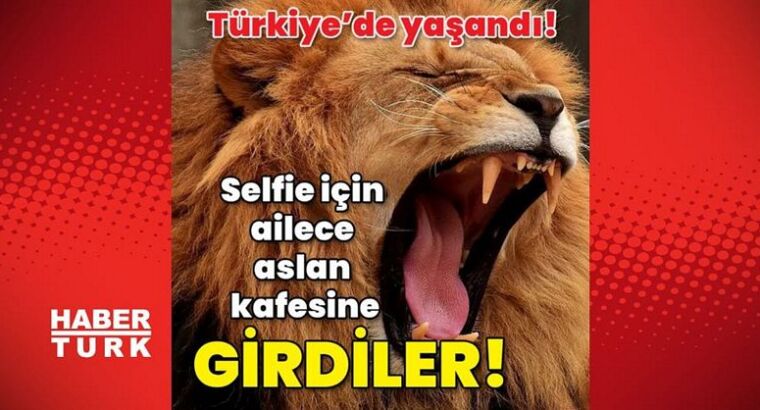 Вот вам и сфотографировались