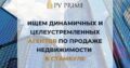 Ищем динамичных и целеустремленных агентов по продаже недвижимости в Стамбуле