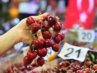 В турецком Текирдаге проходит 57-й фестиваль черешни
