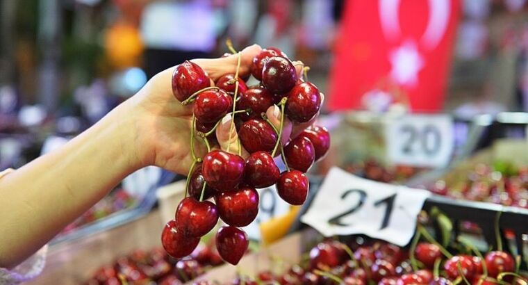 В турецком Текирдаге проходит 57-й фестиваль черешни