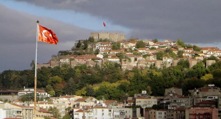 Новый вице-президент Турции пообещал бороться с инфляцией