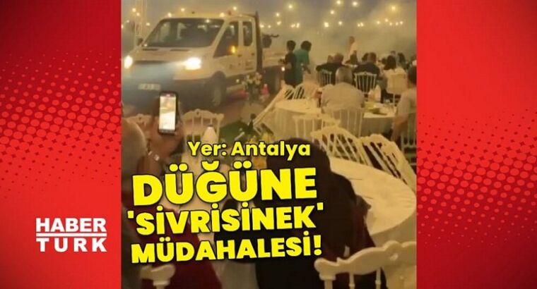 Нашествие комаров в одном из округов Анталии