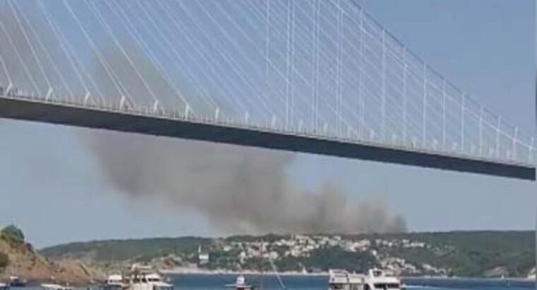 В округе Бейкоз в Стамбуле вспыхнул пожар
