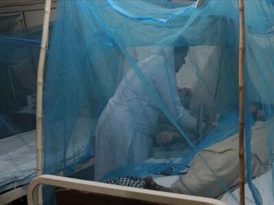 ВОЗ предупредила: число случаев данного заболевания увеличилось в 8 раз