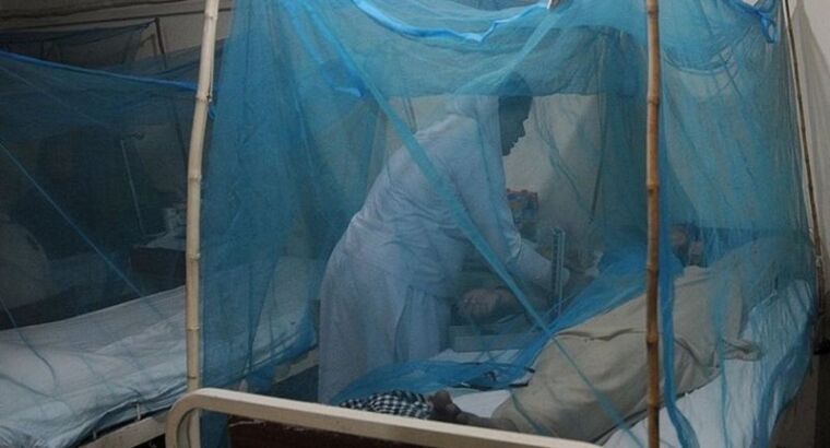 ВОЗ предупредила: число случаев данного заболевания увеличилось в 8 раз