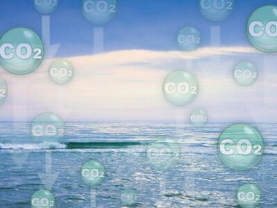 Температура морской воды в Средиземном море побила новый рекорд