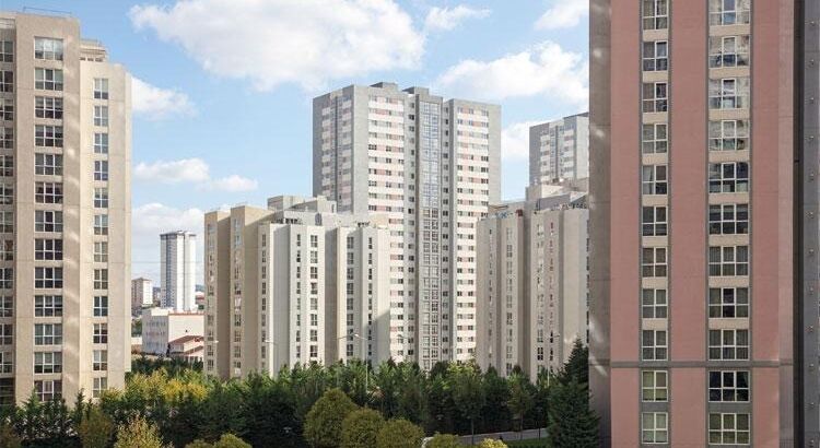 Цены на айдат в Турции за последний год выросли на 40-154%