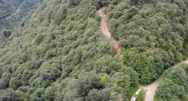 Разыскиваются искатели сокровищ, которые в лесу вырыли яму глубиной 5 метров