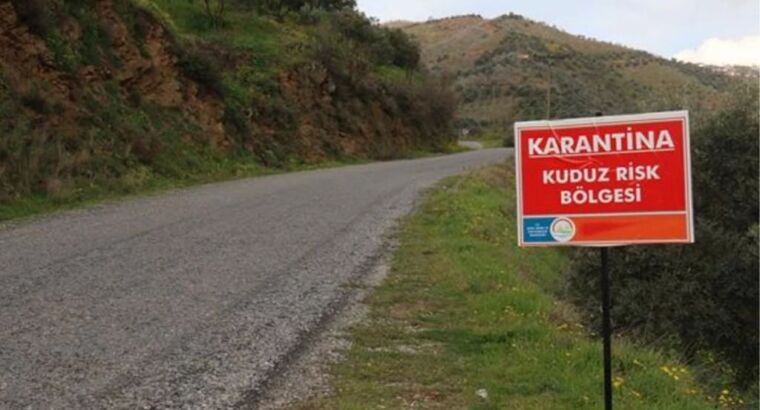 Предупреждение США о высоком риске заболевания бешенством в Турции