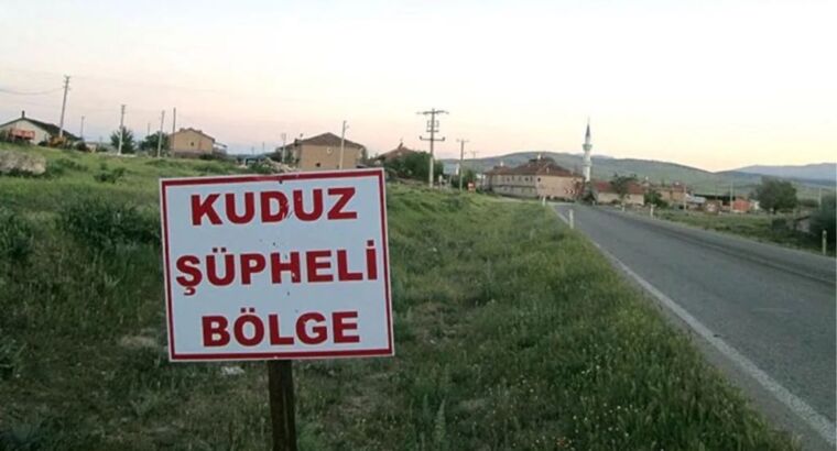 В провинции Артвин 3 деревни были взяты под карантин