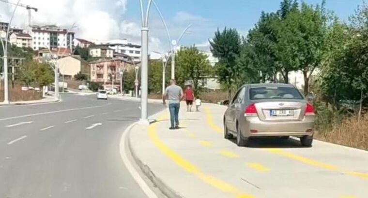 Такого мы еще не встречали