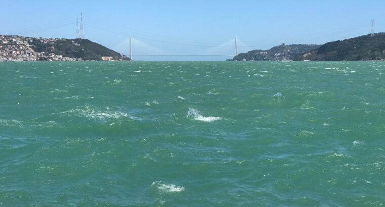 Турецкие исследователи намерены изучить подводный мир Мраморного моря