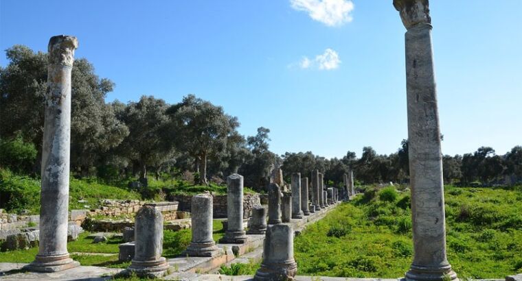 Пять впечатляющих археологических памятников, которые стоит посетить в турецком Миласе