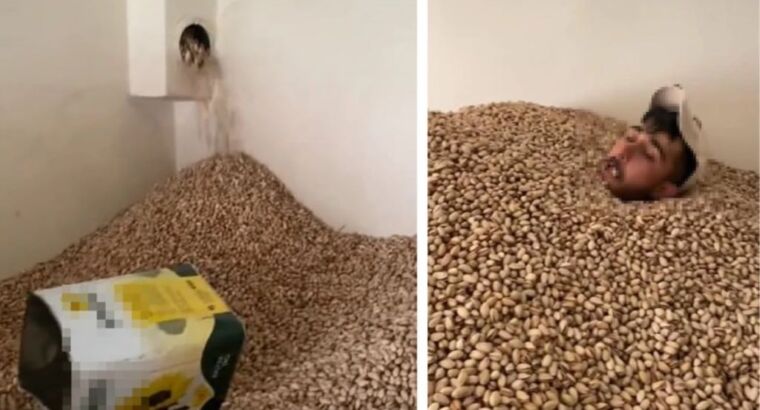 Это еще что за выходки?