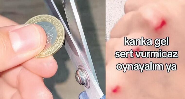 Кровавая игра школьников