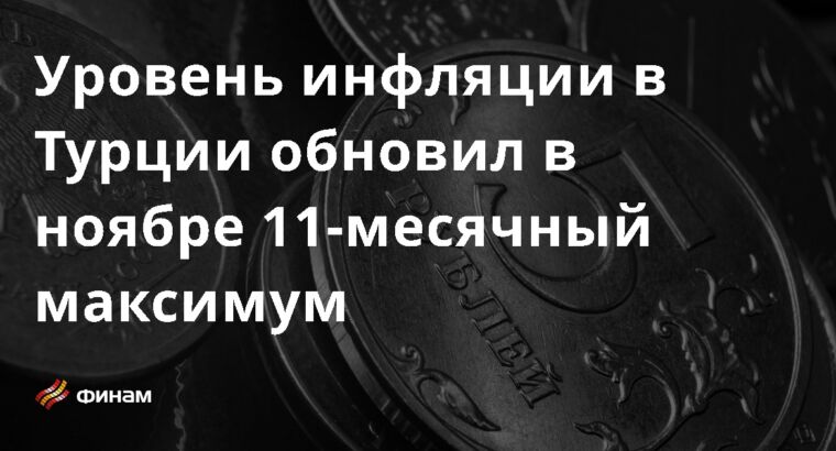 Уровень инфляции в Турции обновил в ноябре 11-месячный максимум
