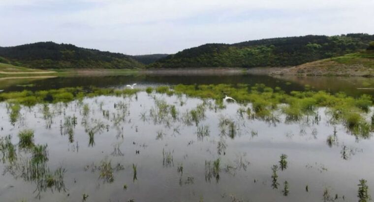Заполняемость водохранилищ в Стамбуле достигла нормального уровня