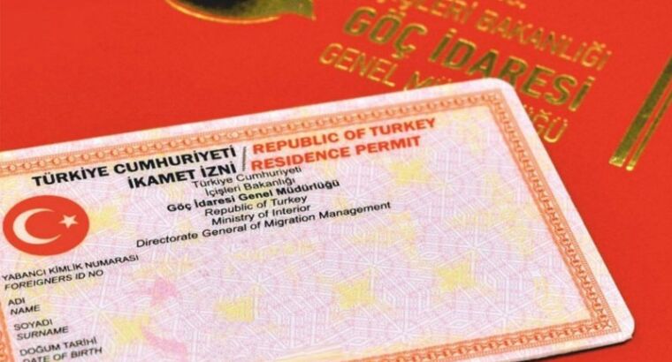 МВД: Граждане РФ и Туркмении в числе лидеров по получению ВНЖ в Турции