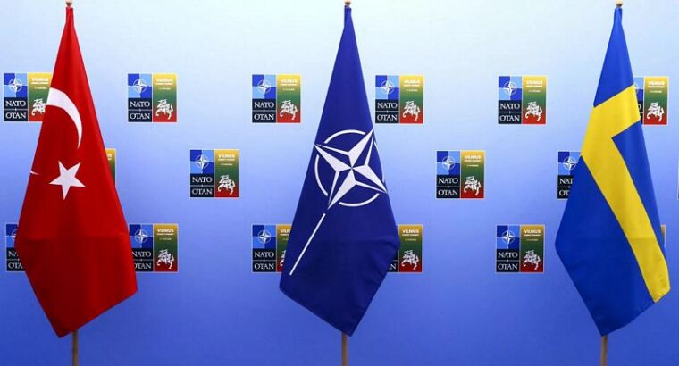Парламент Турции одобрил ратификацию членства Швеции в НАТО